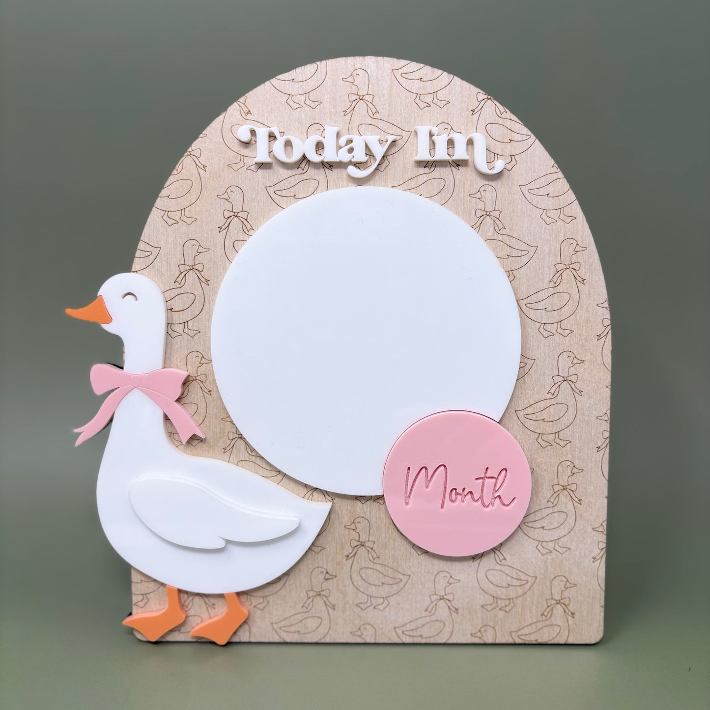 Set of 3 Goose Baby Signs