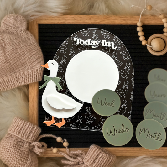 Goose Baby Milestone Sign Clear