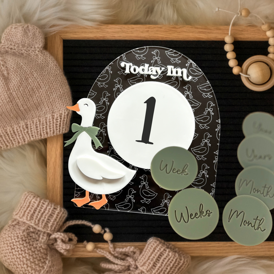 Goose Baby Milestone Sign Clear