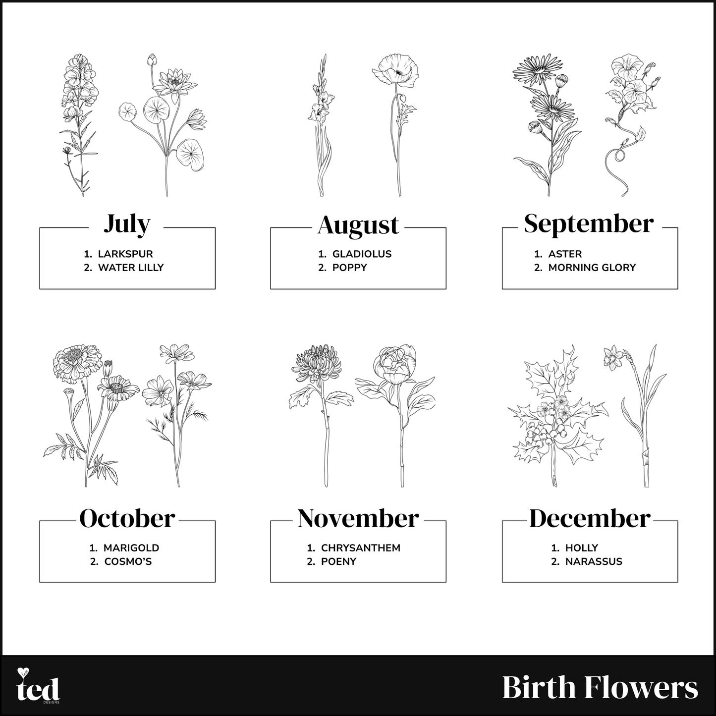 Acrylic Single Birth Flower Frame