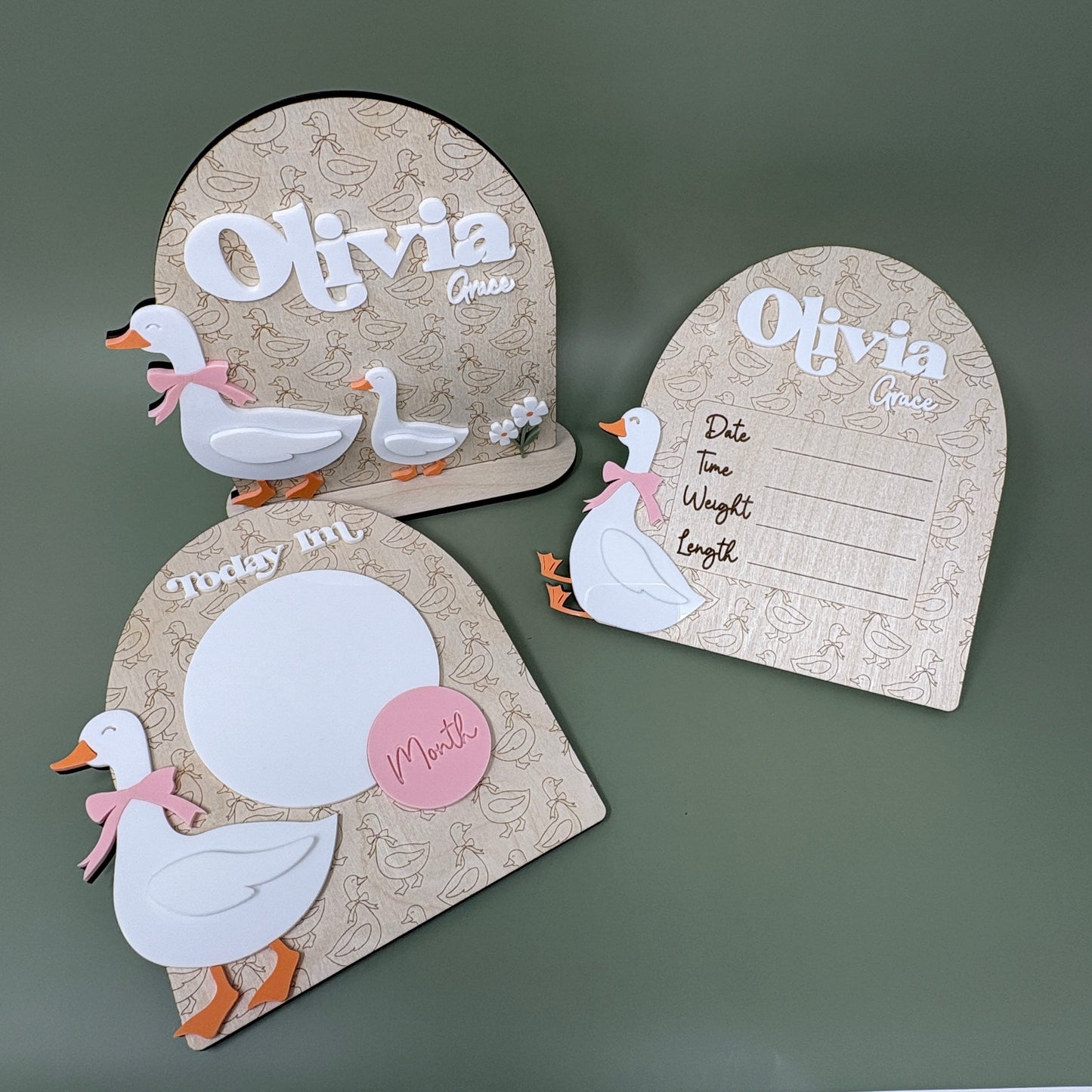 Goose Baby Birth Stats Sign