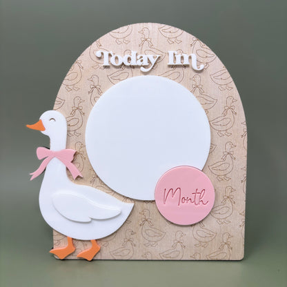 Set of 3 Goose Baby Signs