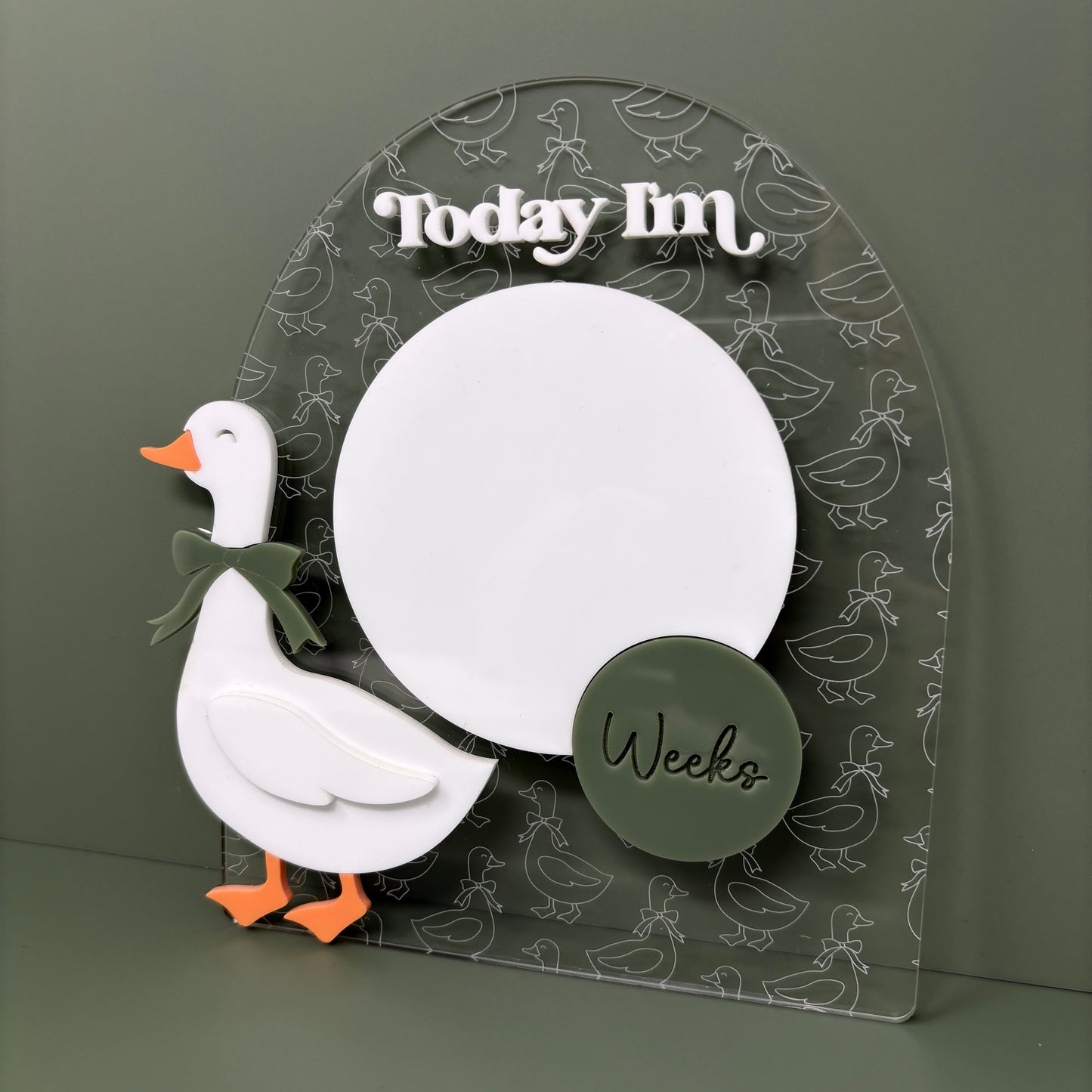 Goose Baby Milestone Sign Clear