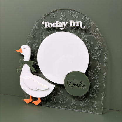 Goose Baby Milestone Sign Clear
