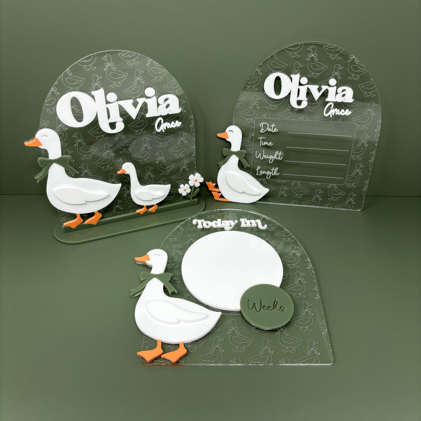 Goose Name Sign Clear