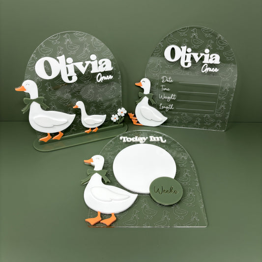 Goose Name Sign Clear