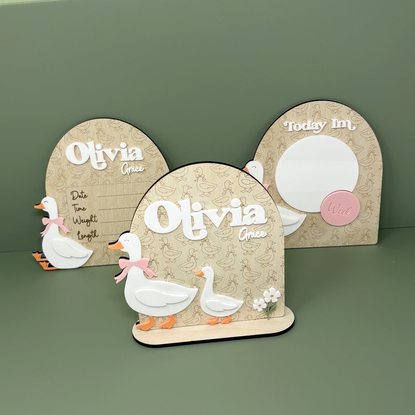 Goose Name Sign