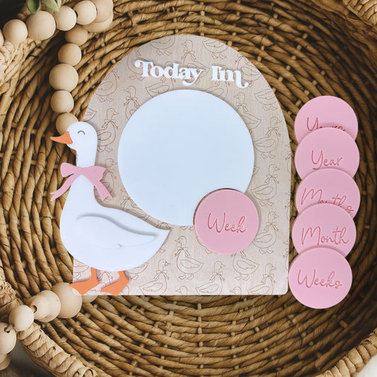 Goose Baby Milestone Sign