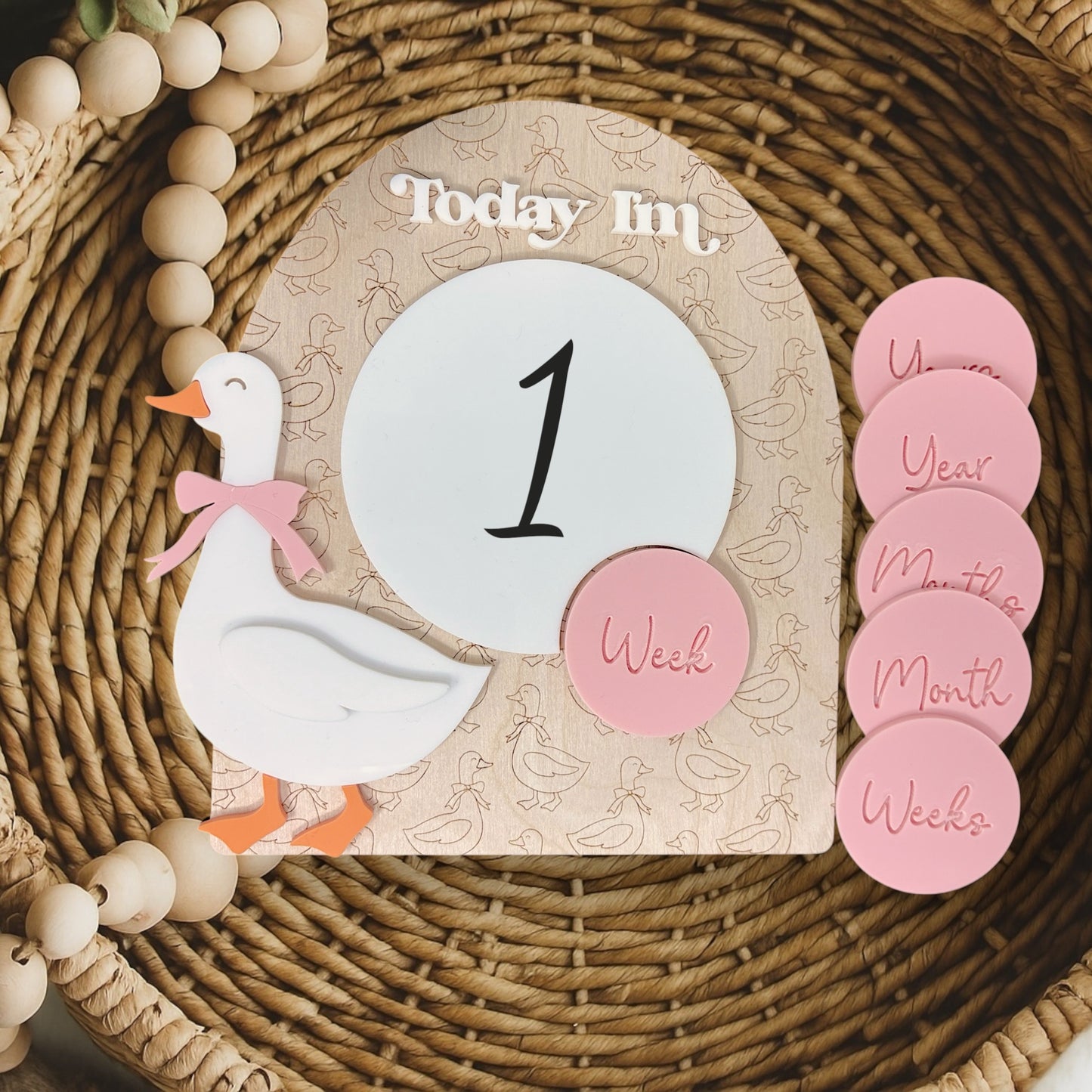 Goose Baby Milestone Sign