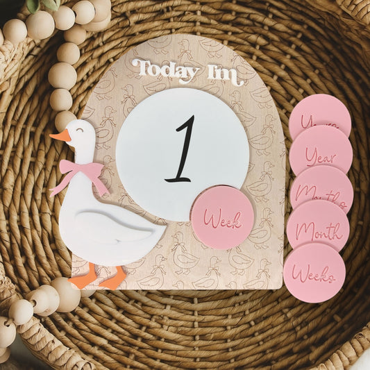 Goose Baby Milestone Sign