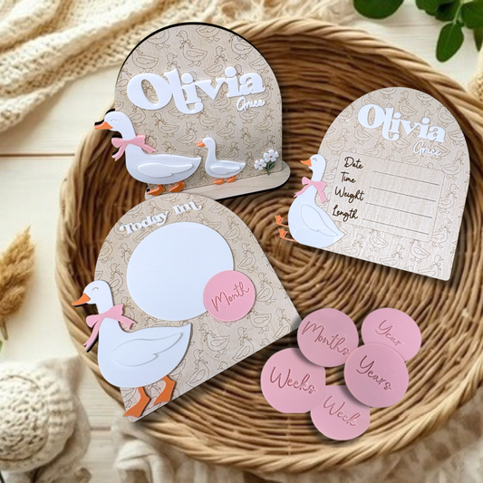 Set of 3 Goose Baby Signs