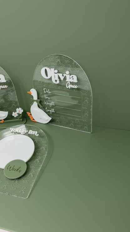 Set of 3 Goose Baby Signs Clear