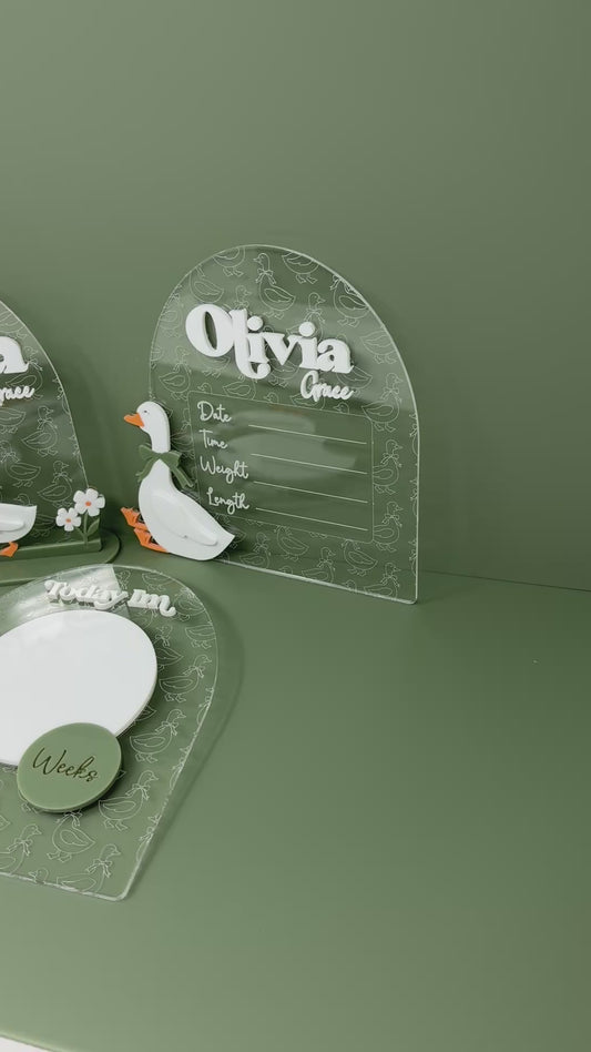 Set of 3 Goose Baby Signs Clear
