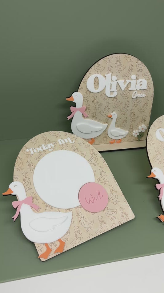 Goose Baby Birth Stats Sign